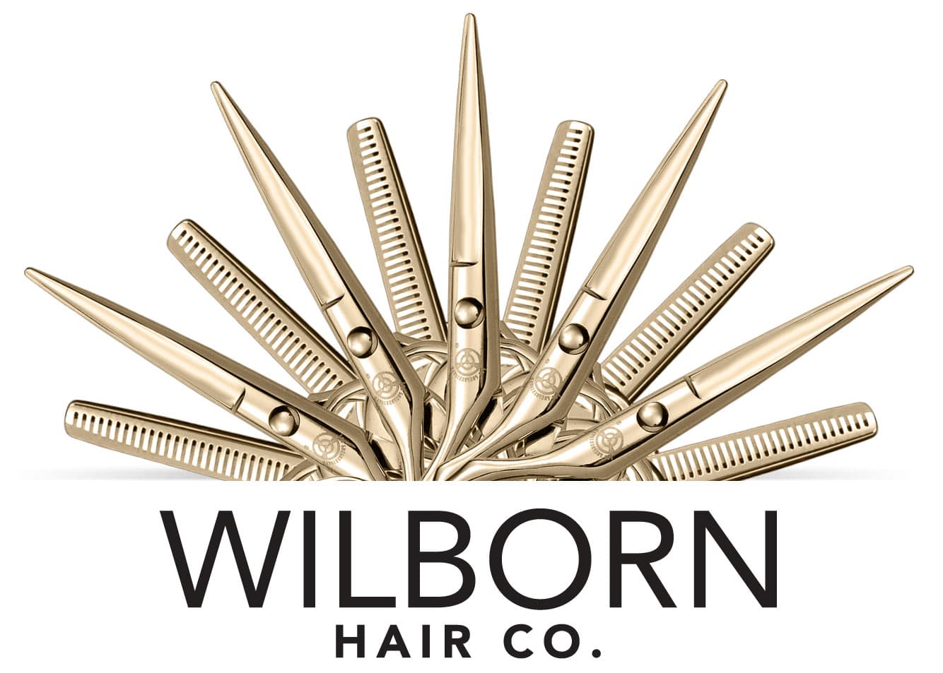 Wilborn Hair Co., A Wichita KS Hair Salon