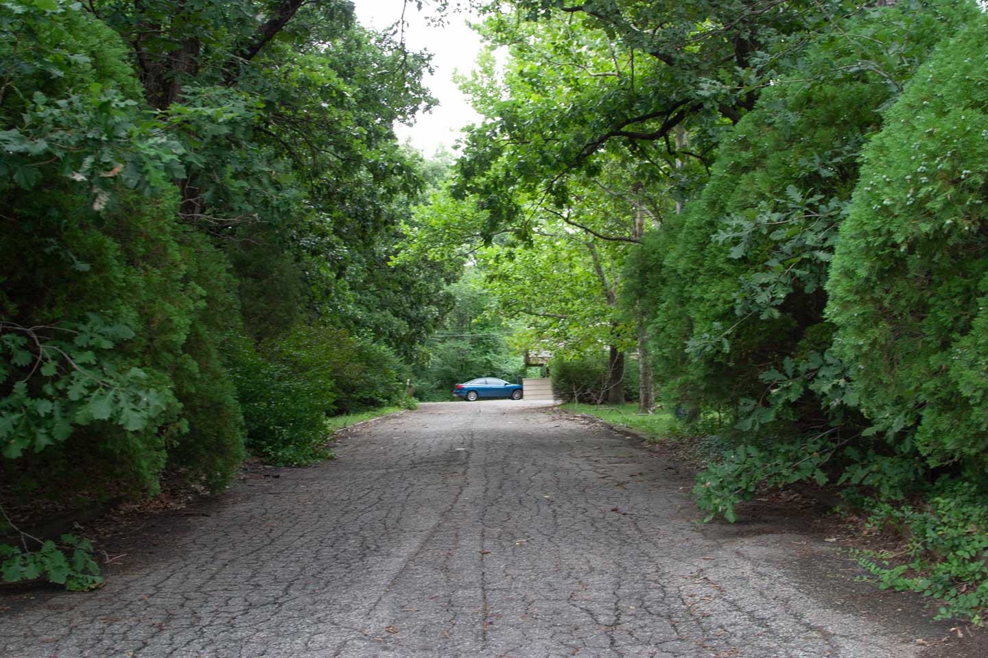 Wilborn Hair Salon drive way